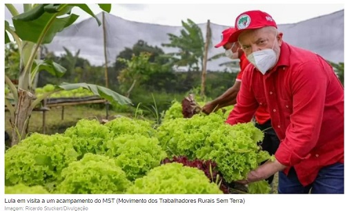  Lula está certo sobre MST ser o maior produtor de arroz orgânico do Brasil?