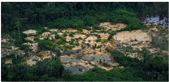  Garimpo ilegal em território ianomami envolve empresas milionárias acusadas de lavagem de recursos no Pará