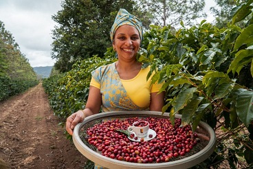  Especial: Bahia aumenta produção e deve ter a maior safra de café conilon dos últimos 5 anos