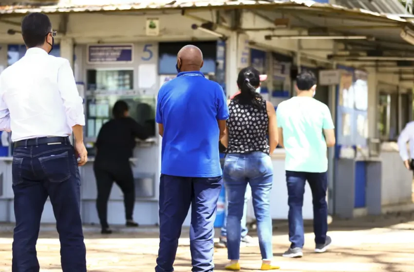  Resultado da Mega-Sena 2878 e da Lotofácil 3422 de hoje, saiba!